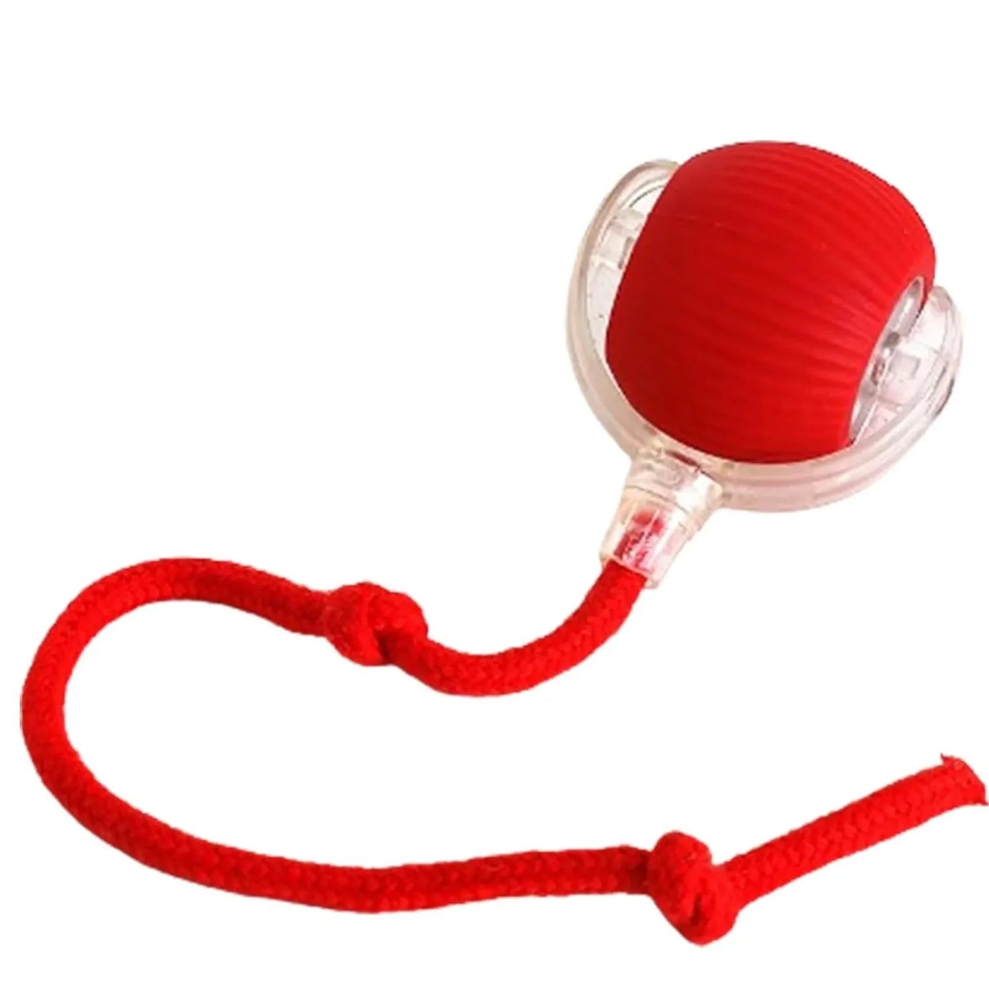 Pet Ball Rolling Toy